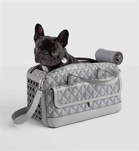 dior pet dames|Dior dog accessories.